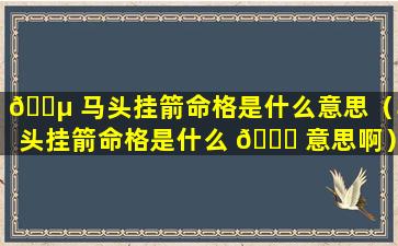 🐵 马头挂箭命格是什么意思（马头挂箭命格是什么 🐕 意思啊）